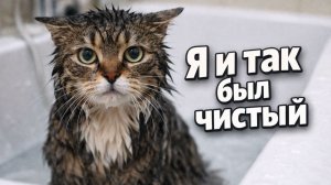 Смех до слёз: лучшие приколы №237