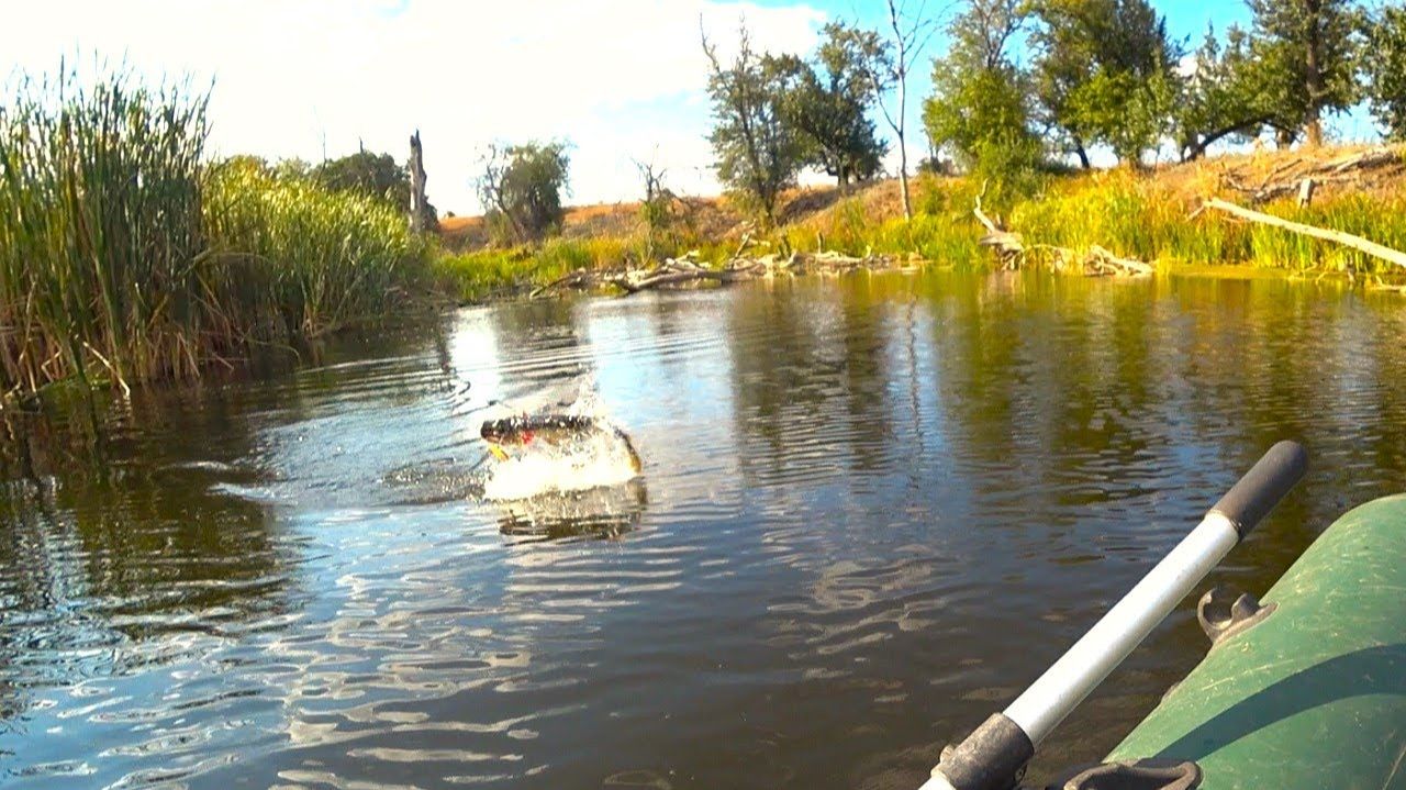 Щуки и голавли БРОСАЮТСЯ НА ЭТОТ ВЕНТИЛЯТОР!!!! Рыбалка на спиннинг осенью смотреть онлайн