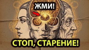 СТОП, СТАРЕНИЕ! Перепрограммируй Гипофиз и Останови Время. Секретная Медитация