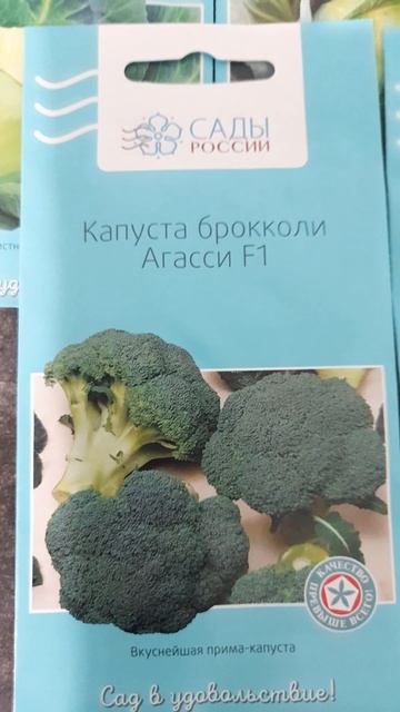 Мои сорта капусты. смотреть онлайн