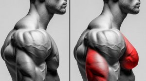 Как сделать грудные и трицепсы глубже: используйте этот метод