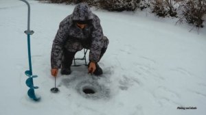 Налим на живца зимой. 2 сезон. 1 серия. (Проверка зимнего перемета. Зимняя рыбалка на реке)