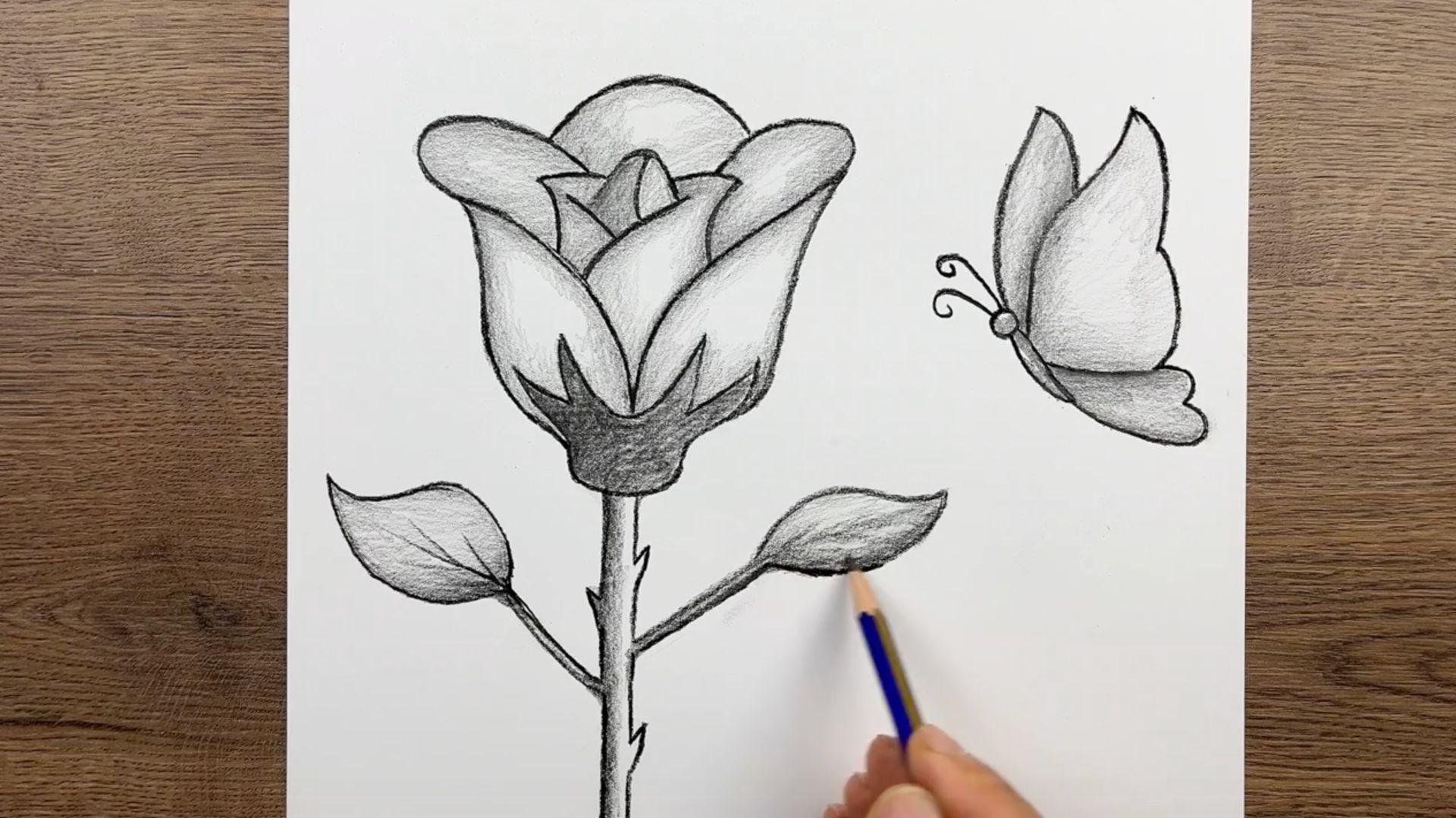 Как легко нарисовать розу и бабочку простым карандашом смотреть онлайн