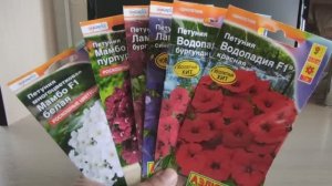 ПЕТУНИЯ. ВЫБИРАЕМ САМЫЕ КРАСИВЫЕ ЦВЕТЫ #петуния #семена #цветы #сад  #посев