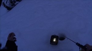 ТОМСКАЯ ОБЛ / протока Оби /пробный выезд сезона / ОКУНЬ СУДАК