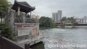 Гуанчжоу #12 Guangzhou 01.2026  Парк озера Ливань 荔湾湖公园. район Паньтан 泮塘. Panxi Restaurant 泮溪酒家