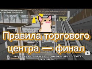 СТРАННЫЕ ПРАВИЛА ТОРГОВОГО ЦЕНТРА(финал)