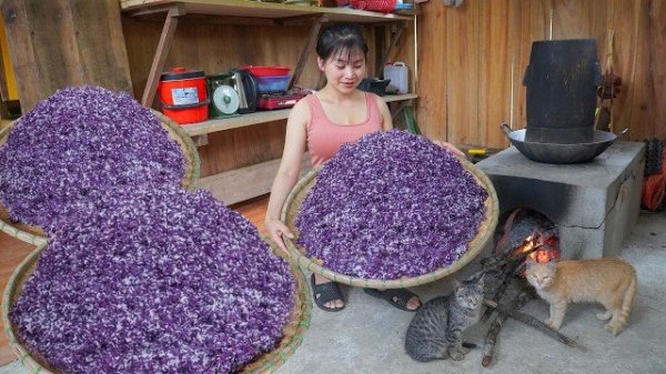 Готовлю красочный клейкий рис на пару и несу на рынок продавать. Нхат. Вьетнам