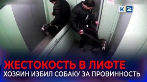 Полиция Краснодара ищет мужчину, избившего собаку в лифте за плохое поведение