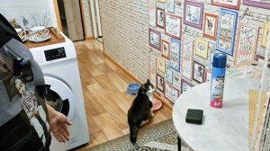 Вот так она и появилась у меня🥰