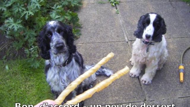 KS2 French Food Resource_ C'est l'heure de manger - Supper! смотреть онлайн