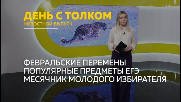 День с Толком 02.02.2026