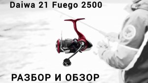 Обзор Лайта для Лайта. DAIWA 21 FUEGO LT 2500