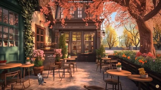 Relax Vision Club смотреть онлайн
