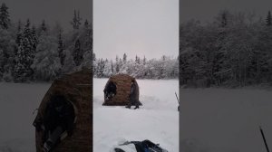 выезд за щукой