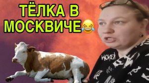 ТЕЛКА И МОСКВИЧ. 😆😆😆 ОЛЬГА ИЗ ЗАУРАЛЬЯ. ОБЗОР.