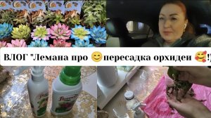 ВЛОГ"Лемана про 😊,пересадка орхидеи!)🥰"