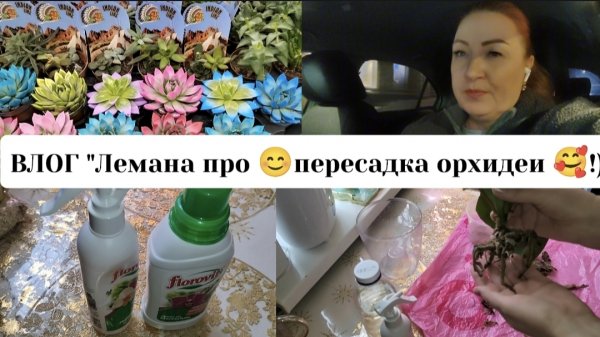 ВЛОГ"Лемана про 😊,пересадка орхидеи!)🥰"