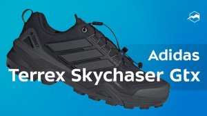 Кроссовки Adidas Terrex Skychaser Gtx
