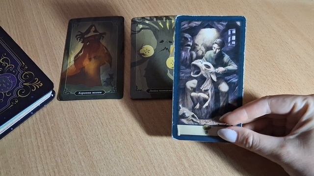 КОЗЕРОГ ♑️ Прогноз на Февраль,что ожидает #2026 смотреть онлайн