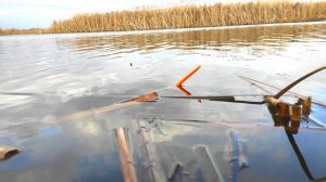 ЖОР САЗАНА, КРУПНЫЙ КАРАСЬ НА ПОПЛАВОК!!! Рыбалка на поплавок весной