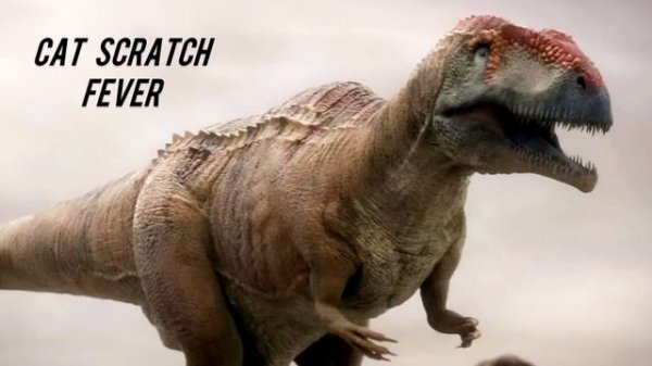 Ted Nugent - Cat Scratch Fever