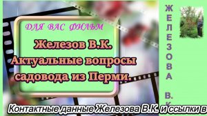 Железов В.К. Актуальные вопросы садовода из Перми.