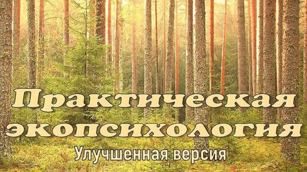 ПРАКТИЧЕСКАЯ ЭКОПСИХОЛОГИЯ. Владимир Антонов. (Rem)