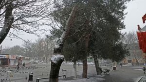 Геленджик 12 Января 2026 года