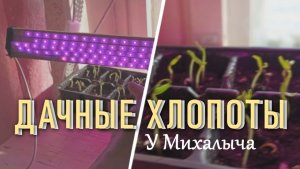 Первые всходы и  подсветка