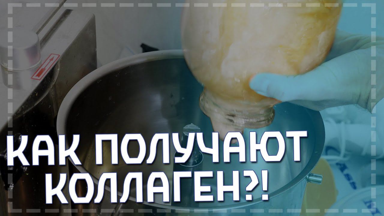Ученые НОЦ "Живые системы" получают ценный коллаген смотреть онлайн