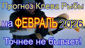 Календарь клева на февраль 2026 Прогноз клева рыбы Лунный Календарь рыбака 2026!