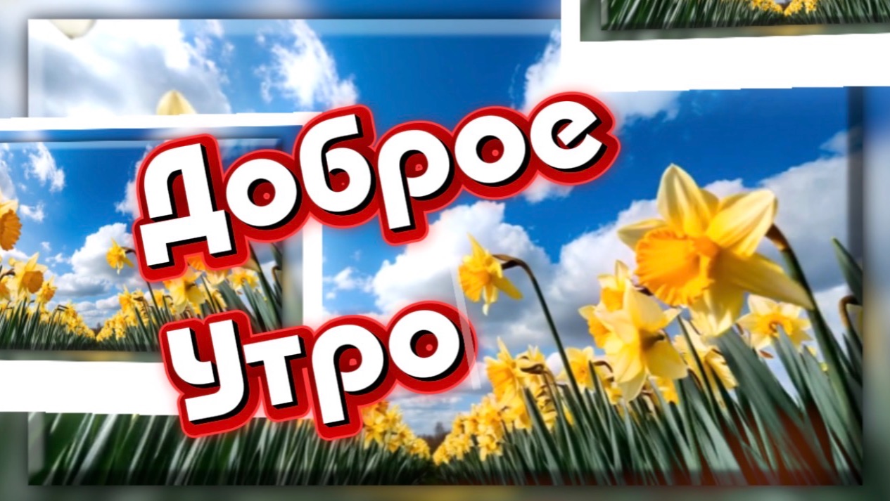 Доброе утро! Великолепно жить на свете! Песня с добрым утром