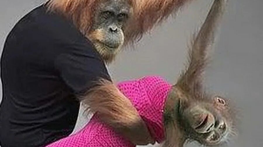 Про Лену из Полиэтилену - Евгений Котцов (Автор, исп. ИИ)