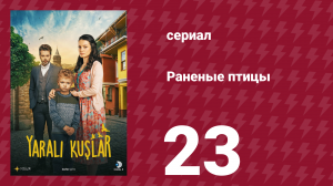 Раненые птицы 23 серия (сериал, 2019)