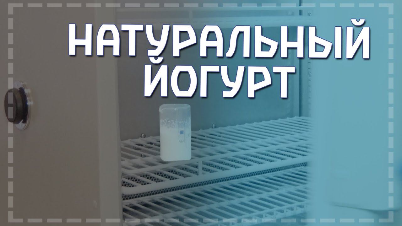 В лаборатории Технологического факультета умеют делать натуральный йогурт смотреть онлайн