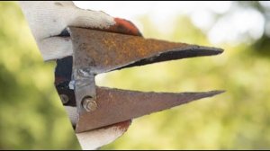 3 Отличных идеи для дома и дачи