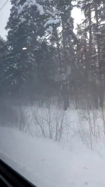 ПОДМОСКОВЬЕ ИЗ ОКНА ПОЕЗДА БУРЕВЕСТНИК смотреть онлайн