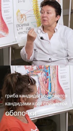 Кандида и гормональные изменения в подростковом возрасте