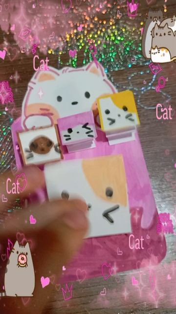 делат туор по этим котикам?♥️