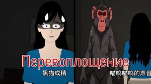 ПЕРЕВОПЛОЩЕНИЕ