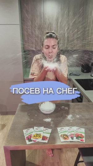 ПОСЕВ БЕГОНИИ НА СНЕГ