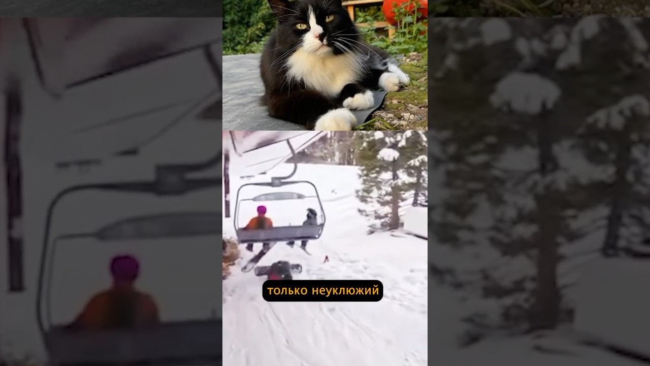 Почему сноубордисты ненавидят подъёмники