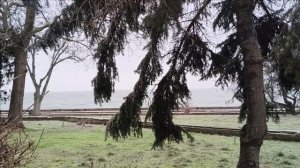 Керчь. Прогулка 02.02.26