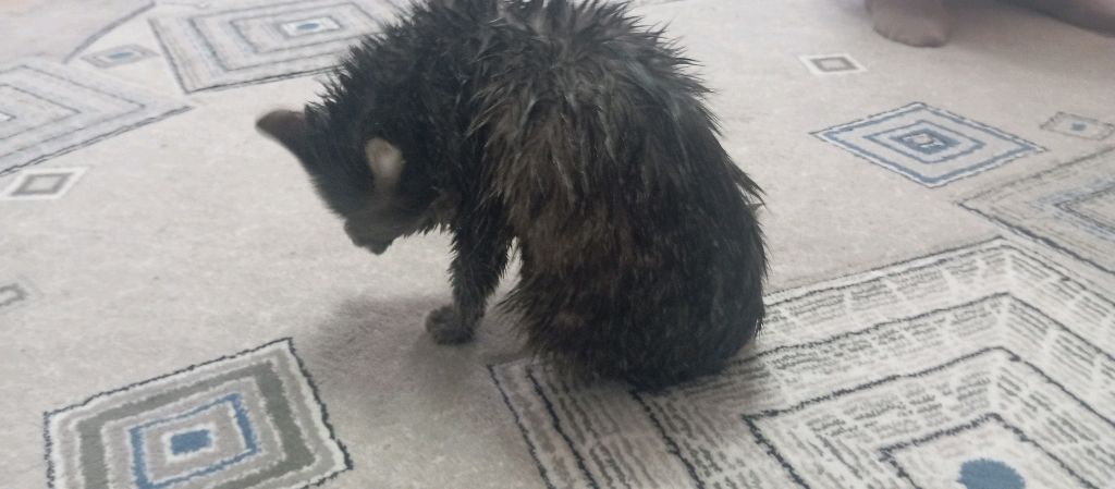 ьо смотреть онлайн