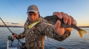 Рыбалка на реке Кама. Ловля окуней на спиннинг.