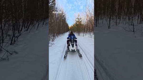 снегоход январь 2026