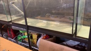 Как работает новый свет в аквариуме..Текущие новости