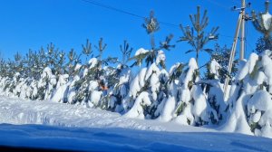 Поездка в город по делам!!!Город в снежном плену!!!