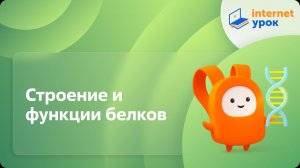 Биология 10 класс. Строение и функции белков